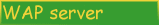 WAP server